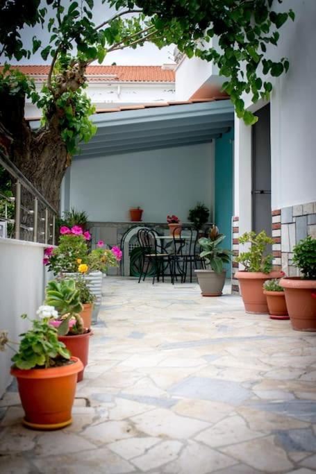Spacious Apartment In The Heart Of Pythagorion ภายนอก รูปภาพ